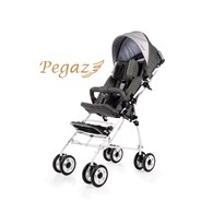 Pegaz stroller (gray)