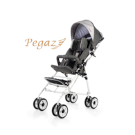 Pegaz gray special needs stroller