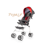 Pegaz red special needs stroller