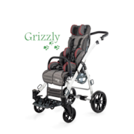 Grizzly gray special needs stroller